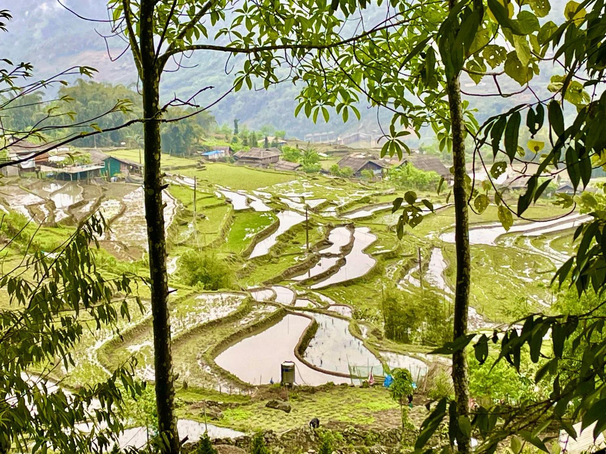 Sue Pa Family Trekking Homestay Sapa Εξωτερικό φωτογραφία
