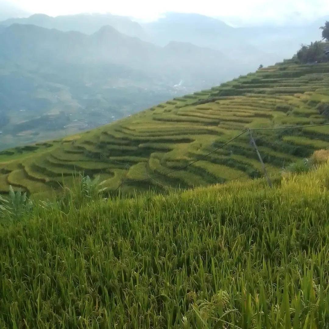 Sue Pa Family Trekking Homestay Sapa Εξωτερικό φωτογραφία
